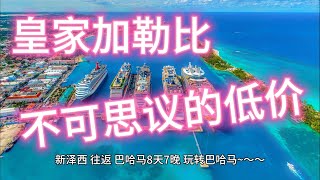 《彩虹之旅捡漏王》（15）不可思议的低价！ [upl. by Hutchings]