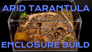 Arid Tarantula Species Enclosure Build Featuring the Aphonopelma bicoloratum  Large Cuboid [upl. by Tasiana]