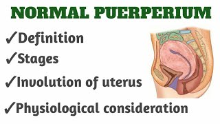 Normal Puerperium 📗OBG notesbsc ampgnm nursingPART 1 [upl. by Euqnimod]