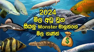 2024 සියලු මොන්ස්ටර් මාලුනේ හරිම මිල ගනන් money price monsterfishprice [upl. by Melantha926]