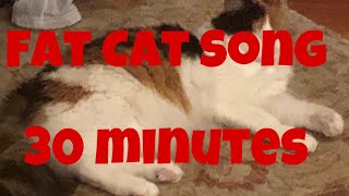 Fat cat song 30 Minutes [upl. by Scarlett]