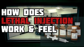 How it Would Feel Lethal Injection [upl. by Virgin77]