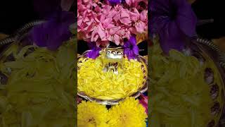 Gomatha mahalaxmi pooja 🙏✨ gomata mahalakshmi pooja vazhipadu aaradhanai devotional [upl. by Burchett]