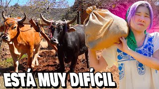 CAMPO MEXICANO ES ASí SALÍ REGAÑADA🫠 l Chingu Amiga [upl. by Wurster]