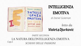 Cap5 INTELLIGENZA EMOTIVA di Daniel Goleman  audiolibro  letto ad alta voce [upl. by Yednil]