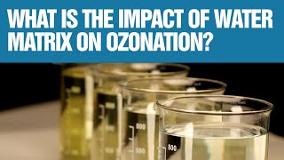 The impact of the water matrix on ozonation process performance and cost [upl. by Nosreh]