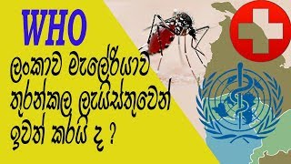 Malaria Disease මැලේරියා රෝගය   Sinhala Medical Channel [upl. by Rehpotirhc77]