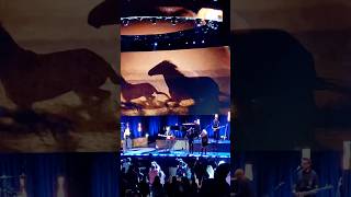 Stevie Nicks  Rhiannon concert livemusic short shorts fleetwoodmac [upl. by Trammel]