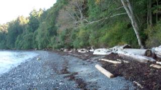 GABRIOLA ISLAND LIVING [upl. by Narhet24]