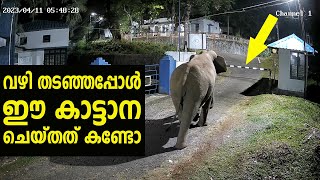 കാട്ടാന ആണത്രേ കാട്ടാന ഇതെന്തു ‘കാട്ടാന‘ 😂 4MP Honeywell Impact CCTV camera Quality at Night [upl. by Imoyn324]