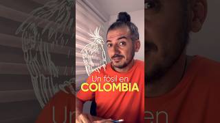 En Colombia existe un fósil viviente se llama hoacín Conócelo en este video 🇨🇴 [upl. by Nirrad]