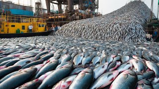 The Untold Secrets of Giant Cod Fishing  What You Never Knew About Alaskas Oceans [upl. by Arok]