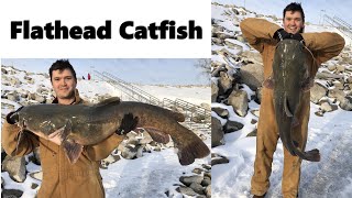 Winter Fishing Red Rock Reservoir  Catching over 100lbs of Catfish [upl. by Baum]