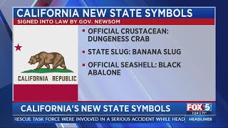 New California state symbols [upl. by Miles]