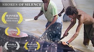 Whale Shark Slaughter in India  Shores of Silence  Green Oscar Winner [upl. by Percy370]