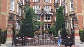 Beautiful Kensington Palace Court Homes  London Architecture [upl. by Hough595]