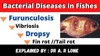 JKSSBBacterial Diseases in FishesFish Diseases amp Their Control [upl. by Orlina]