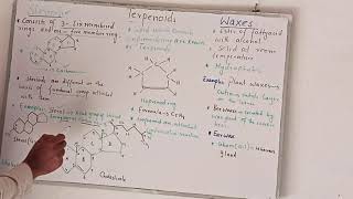 Steroids Terpenoids and Waxes 11 class biology MShafiq Academy [upl. by Angell]