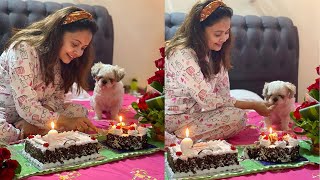 Devoleena Bhattacharjee Completes 9 Years in Television Industry celebrates by cutting cake [upl. by Gino]