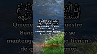 Surah 46 Al Ahqaf Ayat 1314 en español Quienes digan Nuestro Señor es Dios Sagrado Corán español [upl. by Brant]