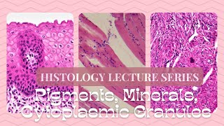 Pigments Minerals Cytoplasmic Granule StainingHistology Lecture Series [upl. by Launcelot]