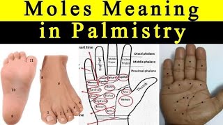 Everything about good and bad Molestil in Palmistry [upl. by Anoy]