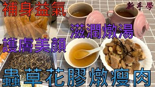 【新手學】頻道  EP17 新手學煮蟲草花膠燉瘦肉｜滋潤燉湯 ｜護膚美顏｜補身益氣｜清心明目｜ [upl. by Ydisac441]