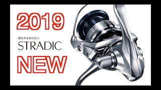 ● 2019 NEW STRADIC FL  SHIMANO  ● [upl. by Jareen34]