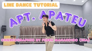 APT Apateu  Line Dance Tutorial  Pedansa Medok  Choreographed by Febru Mahardiko INA [upl. by Raffaj]