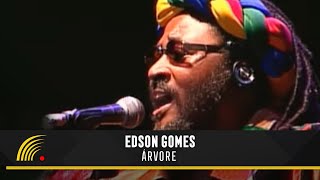 Edson Gomes  Árvore  Ao Vivo Em Salvador [upl. by Iam]