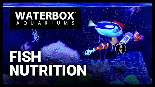 Fish Nutrition The Right Way Episode 183 [upl. by Marelda]