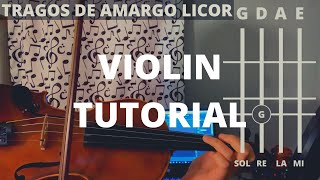 Tragos de Amargo Licor  Ramon Ayala VIOLIN TUTORIAL [upl. by Rehpotsirk]