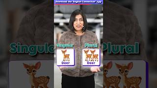 12 Irregular Plurals ✅ You Must Know 😱  Singular vs Plural Words  English Connection shorts [upl. by Haimrej]