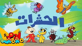 Adam Wa Mishmish  Insects Kids Songs  أغاني أطفال آدم ومشمش  الحشرات [upl. by Hanleigh]