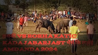 Tilaki vs Rorha Katic kada Jabarjast भैंसे कि मोकाबिला amdanda मैदान में 2024 2024 [upl. by Nelac]