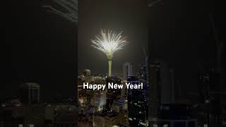 Happy New Year Auckland New Zealand [upl. by Aneryc]