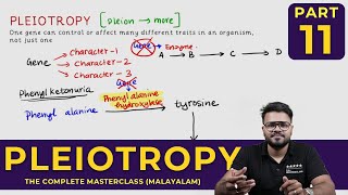 Mastering PLEIOTROPY  Principles of Inheritance and Variations  CLASS 11 [upl. by Kapoor]