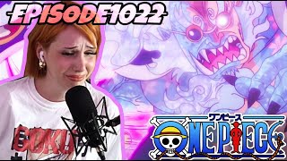 HYOGORO TRANSFORM  One Piece Episode 1022  REACTION [upl. by Zucker]