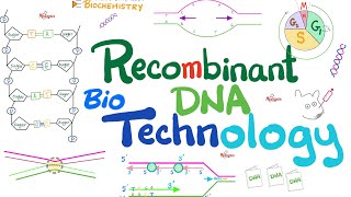 Recombinant DNA technology Biotechnology  Molecular Biology 🧬 amp Biochemistry [upl. by Annatnas]