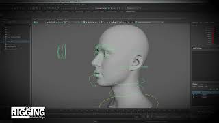 FACE RIGGING  Autodesk Maya  2024 [upl. by Sukram]