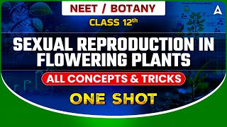 SEXUAL REPRODUCTION IN FLOWERING PLANTS CLASS 12 ONE SHOT  ALL CONCEPTS amp TRICKS  SANKALP BHARAT [upl. by Constantino]