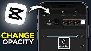 How To Change Opacity On CapCut  Easy Guide [upl. by Anippesuig]