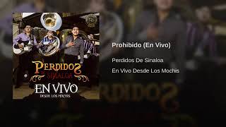 Prohibido Los Perdidos De Sinaloa [upl. by Magda]