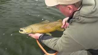 Huge Trout of the Parklands Promotion Video [upl. by Beeson9]