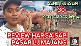 REVIEW HARGA SAPI PEDET BAKALAN BETINA SENIN 30 SEPTEMBER 2024 [upl. by Erin986]