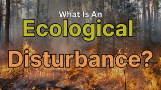 What Is An Ecological Disturbance [upl. by Nomrac]