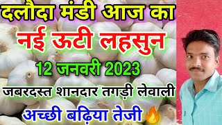 Dalauda mandi new ooty garlic rate today 12 जनवरी 2023 new ooty garlic rate aaj ka uti lahsun bhav [upl. by Samal]