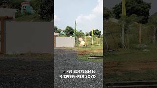 311 SQUARE YARDS EAST amp WEST FACING READY TO CONSTRUCTION OPEN PLOT FOR SALE IN PERECHERLA GUNTUR [upl. by Critchfield]