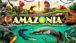 Zoo Tours Amazonia  Smithsonian National Zoo [upl. by Livvy]