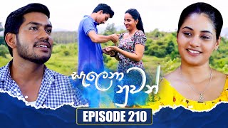 Salena Nuwan සැලෙනා නුවන්  Episode 210  07th December 2024 [upl. by Ester]